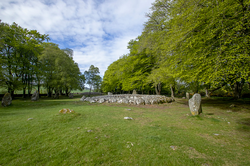 Best of the Scottish Highlands- Private Tour from Invergordon